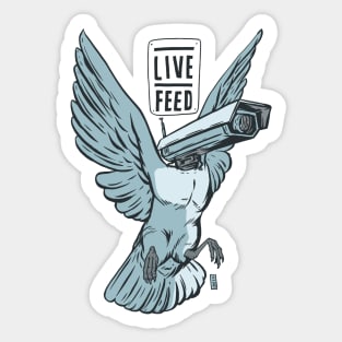 Live Feed Sticker